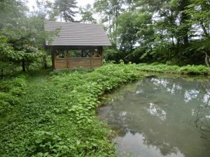 池と小屋