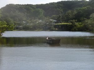 大池と舟
