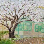 オオシマザクラと洋館：横浜の山手にある、ブラフ18番館の庭園で描きました。